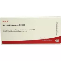 NERVUS TRIGEMINUS GL D 10 ampula, 10X1 ml