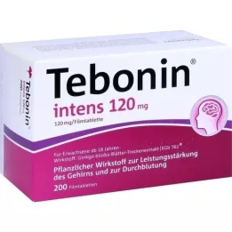 TEBONIN Intens 120 mg tablete prekrivenih filmom, 200 ST