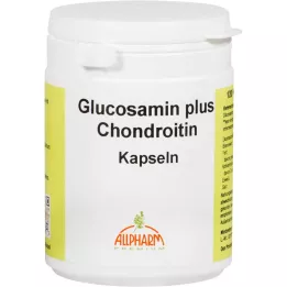 GLUCOSAMIN+CHONDROITIN kapsule, 120 ST