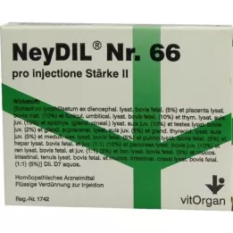 NEYDIL br. 66 Pro Injectie St.2 ampuli, 5x2 ml