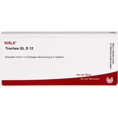 TRACHEA GL D 12 ampula, 10X1 ml