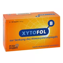 XYTO Fol B kapsule, 90 kom
