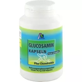 GLUCOSAMIN CHONDROITIN Kapsule, 120 ST