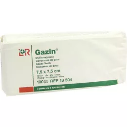 GAZIN Gaza komp