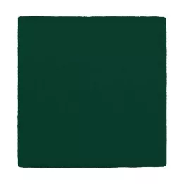 MULLKOMPRESSEN 10x10 cm 12 presavijeni zeleni, 100 kom