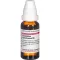 CEANOTHUS AMERICANUS D 3 Razrjeđenje, 20 ml