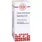 EUPHORBIUM D 12 Razrjeđivanje, 20 ml