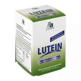 LUTEIN KAPSELN 6 mg+borovnica, 120 kom