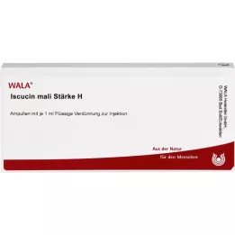ISCUCIN Mali Snaga h ampuli, 10x1 ml