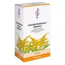 GOLDRUTENKRAUT Giant Tea, 100 g