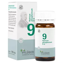 BIOCHEMIE Pflüger 9 Natrium phosphoricum D 6 Tabl., 100 kom