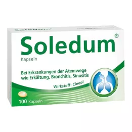 SOLEDUM 100 mg gastrorezistentne kapsule, 100 kom