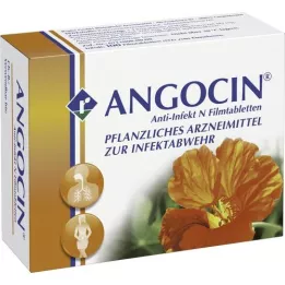 ANGOCIN Anti infekcije N -tablete s prekrivenim filmom, 100 ST
