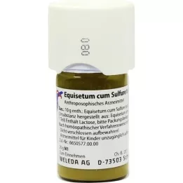 EQUISETUM CUM Sulfure Tostum D 1 Trituracija, 20 g