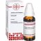 CROCUS matična tinktura D 1, 20 ml