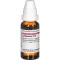 LYCOPODIUM D 18 Razrjeđenje, 20 ml