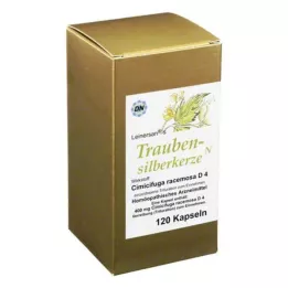 TRAUBENSILBERKERZE Kapsule, 120 ST