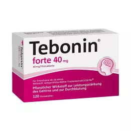 TEBONIN forte 40 mg filmom obložene tablete, 120 kom