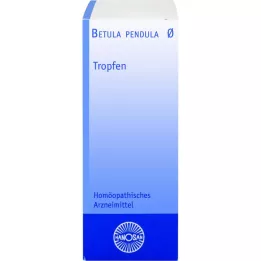 BETULA PENDULA Hanosan matična tinktura, 20 ml