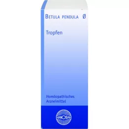 BETULA PENDULA Hanosan matična tinktura, 50 ml