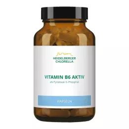 VITAMIN B6 KAPSULE, 120 kom