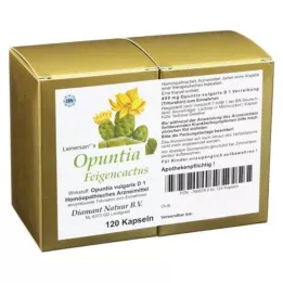 OPUNTIA FEIGENCACTUS Kapsule, 120 ST