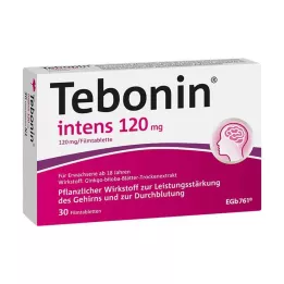 TEBONIN intens 120 mg filmom obložene tablete, 30 kom