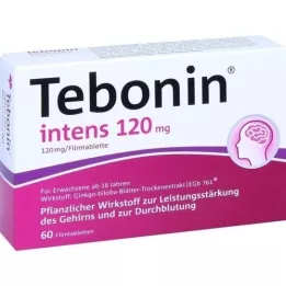TEBONIN Intens 120 mg tablete prekrivenih filmom, 60 sati