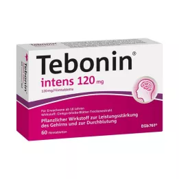 TEBONIN intens 120 mg filmom obložene tablete, 60 kom