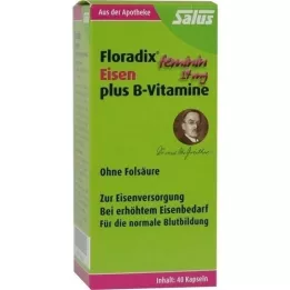 FLORADIX Iron Plus B vitamini kapsule, 40 ST