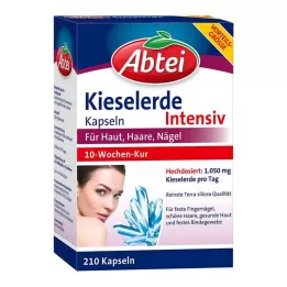 ABTEI Silika kapsule, 210 kom