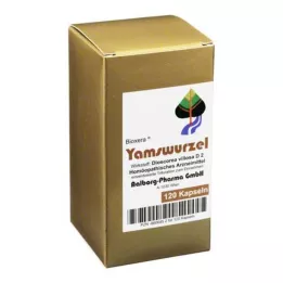 YAMSWURZEL Kapsule, 120 ST