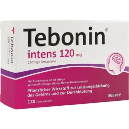 TEBONIN Namjera 120 mg tablete s prekrivenim filmom, 120 sati