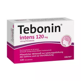 TEBONIN intens 120 mg filmom obložene tablete, 120 kom