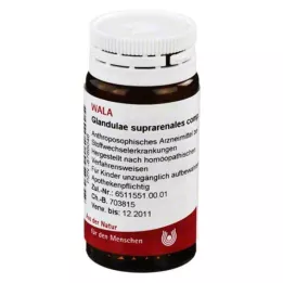 GLANDULAE SUPRARENALES komp.Globuli, 20 g