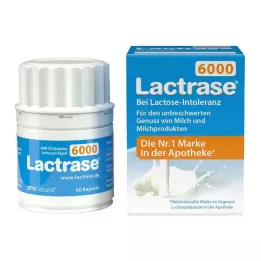 LACTRASE 6.000 FCC kapsula, 60 kom