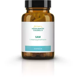 SAM S-ADENOSYLMETHIONIN kapsule, 60 kom