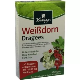 KNEIPP Dragees Windthorn, 90 ST