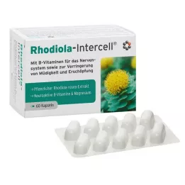 RHODIOLA-INTERCELL kapsule, 60 kom
