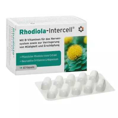 RHODIOLA-INTERCELL kapsule, 60 kom RHODIOLA-INTERCELL kapsule, 60 kom