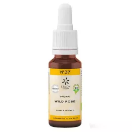 BACHBLÜTEN No.37 Wild Rose Organic, 20ml