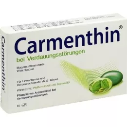 CARMENTHIN U slučaju probavnih poremećaja msr.werbkaps., 14 ST