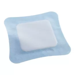 VLIWASORB Pro superabsorbent komp. 22x22 cm, 10 kom