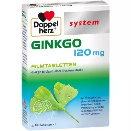 DOPPELHERZ Ginkgo 120 mg sistemski film -tablete prekrivene, 30 ST