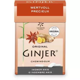 Ginger chewing gum ginjer with anise flavor, 36 g