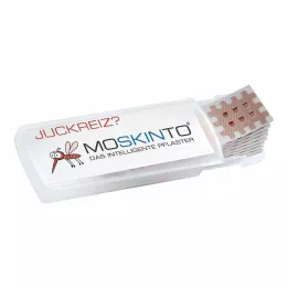 MOSKINTO Gips, 24 kom