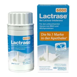 LACTRASE 6.000 FCC Tbl.Click dozator pakiranje za ponovno punjenje, 480 kom