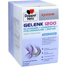 DOPPELHERZ Zajednički 1200 SUSTAV 60 CAPS.+60 Tabl., 120 ST