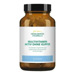 Multivitamin Active bez bakrenih kapsula, 120 kom