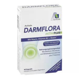 DARMFLORA Aktiv Plus 100 milijardi bakterija + 7 vitamina, 40 kom